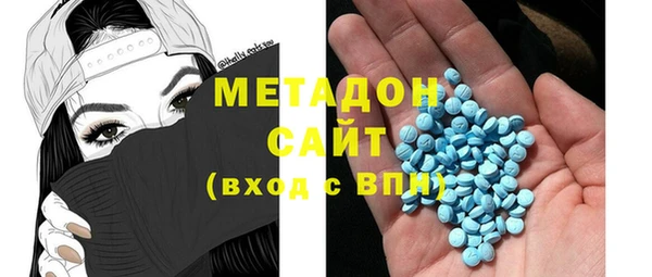 хмурый Аркадак