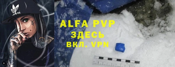 хмурый Аркадак