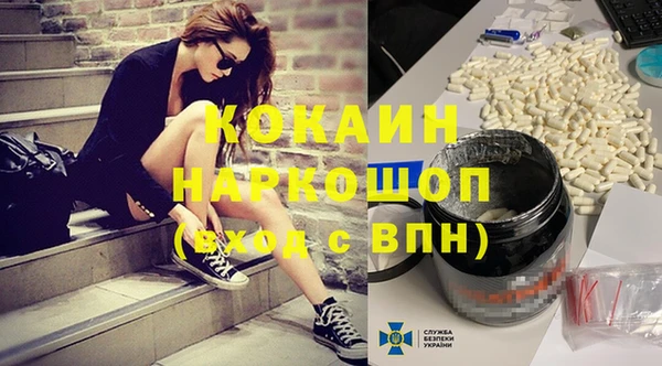 шишки Армянск