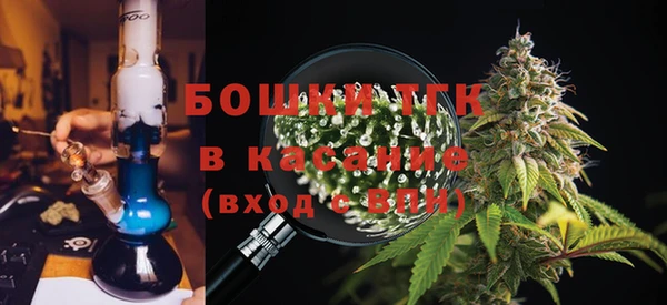 хмурый Аркадак
