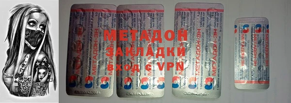 хмурый Аркадак