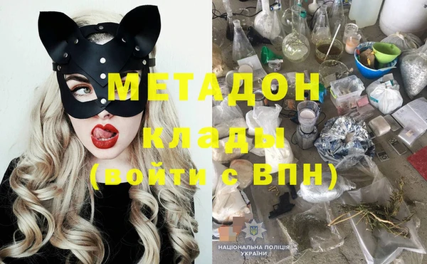 хмурый Аркадак
