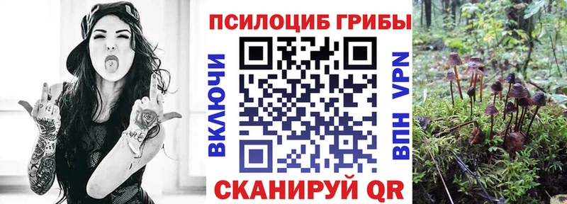 Псилоцибиновые грибы Psilocybe  shop формула  Можга 