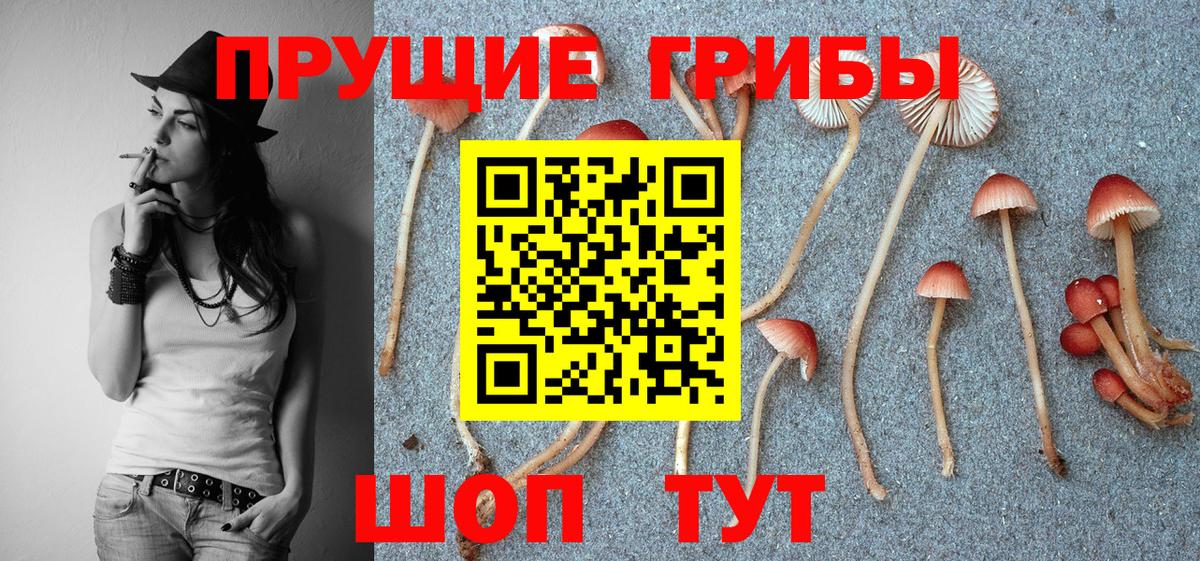 Псилоцибиновые грибы Magic Shrooms Можга