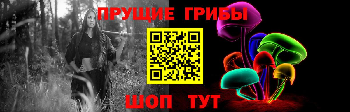 Псилоцибиновые грибы Psilocybe  Галлюциногенные грибы Psilocybe  Вход с VPN  Можга 